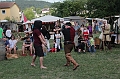 IMG_3584