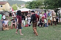 IMG_3586