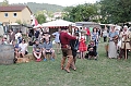 IMG_3666