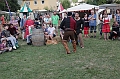 IMG_3694