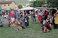 IMG_3731