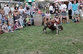 IMG_3752