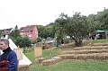 IMG_4687