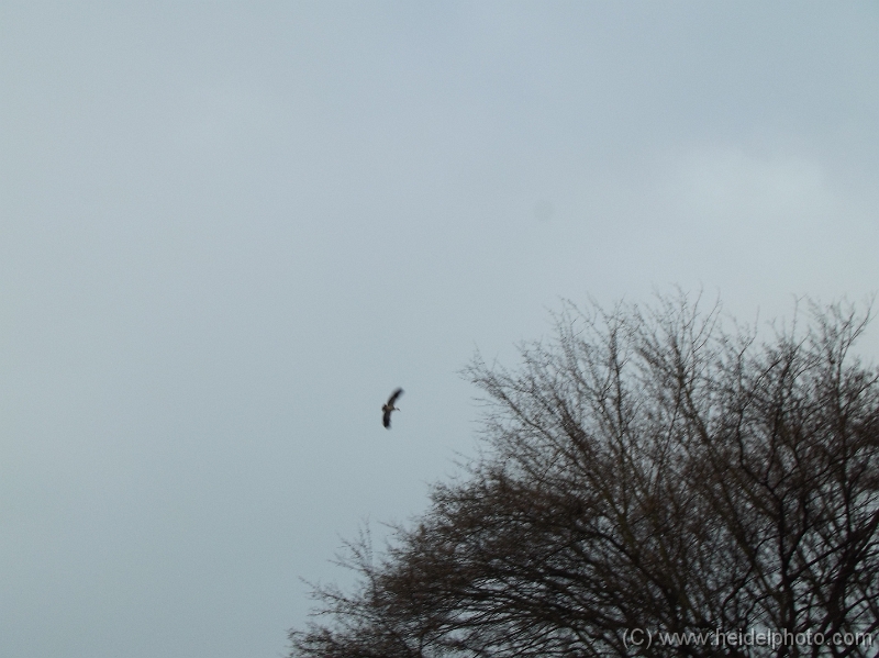 DSCF0473