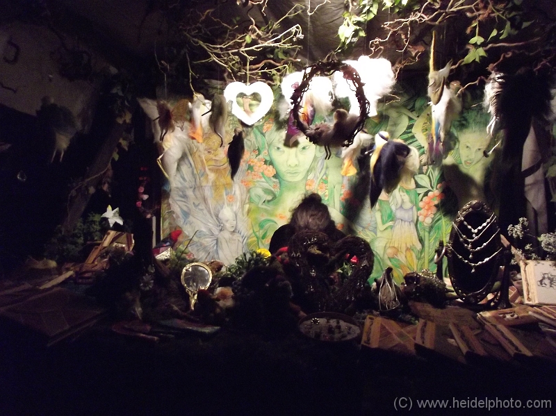DSCF0558