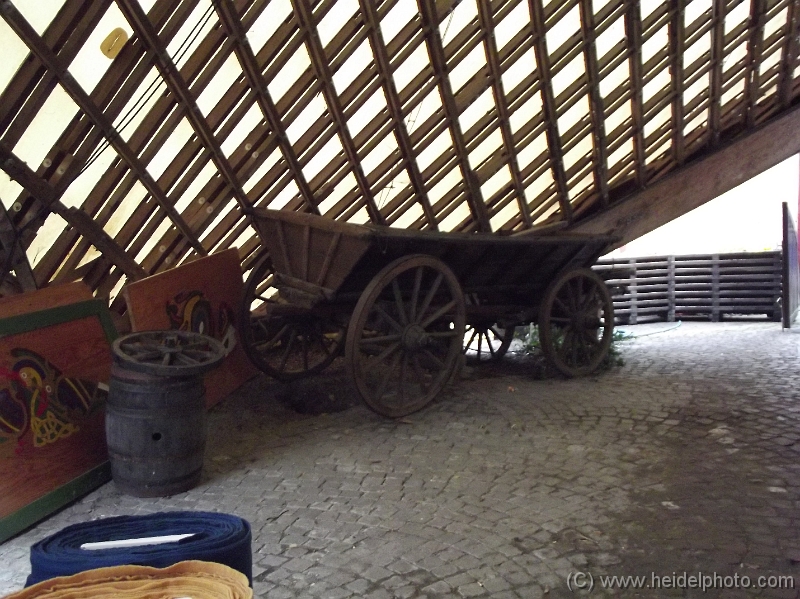 DSCF0719