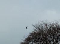 DSCF0473