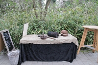 IMG_5401