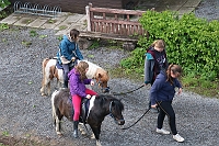 IMG_1916