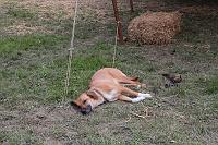 IMG_1557