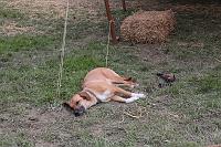 IMG_1558