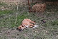 IMG_1559