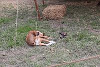 IMG_1560