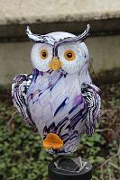 IMG_8680