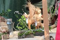 IMG_8875